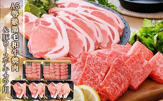 鹿児島県産A5等級黒毛和牛焼肉＆豚ローステキカツ用 C0-19【配送不可地域：離島】