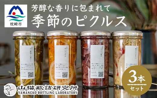 枕崎産かつお節と地元野菜の ピクルス 3種セット～芳醇な香りに包まれて～ A8-60【配送不可地域：離島】