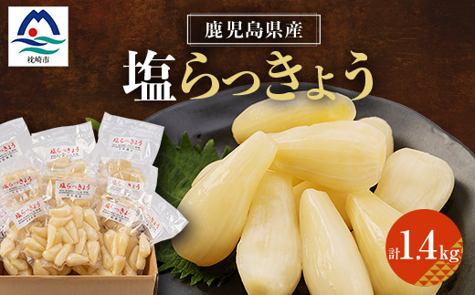 鹿児島県産塩らっきょう1.4kg (140g×10パック) A3-284【配送不可地域：離島】
