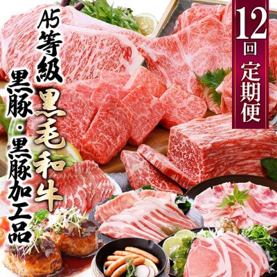 お肉の定期便(12回)枕崎お楽しみ便(A5等級黒毛和牛・黒豚・黒豚加工品etc) KK-6003【配送不可地域：離島】
