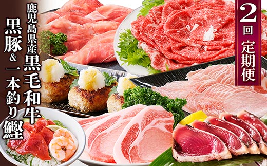 定期便(2回配送)鹿児島県産黒毛和牛・豚肉・一本釣りかつお DD-6004【配送不可地域：離島】