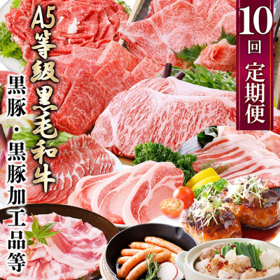 定期便(1年で10回配送)お楽しみ便(A5等級黒毛和牛・黒豚)HH-6004【配送不可地域：離島】