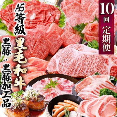 定期便(1年で10回配送)枕崎お楽しみ便(A5等級黒毛和牛・黒豚・黒豚加工品etc) II-6002【配送不可地域：離島】
