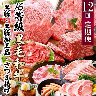 定期便(12回配送)枕崎お楽しみ便(A5等級黒毛和牛・黒豚・黒豚加工品・さつまあげ等)JJ-6003【配送不可地域：離島】