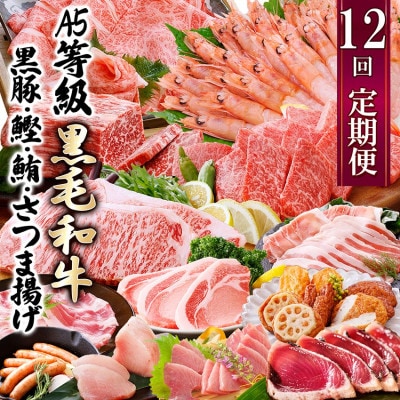 定期便(12回配送)お楽しみ便(A5等級黒毛和牛・黒豚・かつお・まぐろ・さつまあげ等)JJ-6002【配送不可地域：離島】