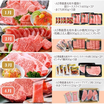 定期便(12回配送)A5等級黒毛和牛＆かつお・まぐろ KK-6004【配送不可地域：離島】