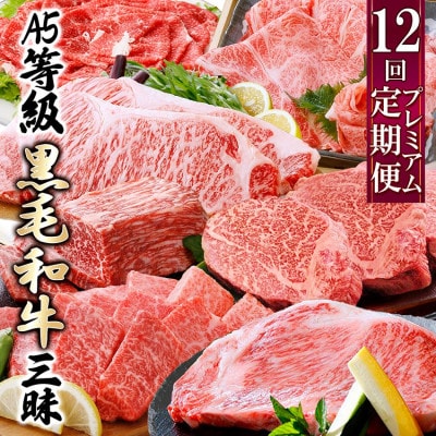 定期便(12回)鹿児島県産A5等級黒毛和牛三昧 JJ-0017【配送不可地域：離島】