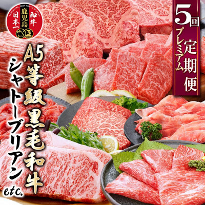 定期便(5回配送)A5等級黒毛和牛シャトーブリアン・サーロインステーキetc GG-0030【配送不可地域：離島】