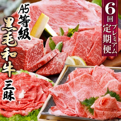 定期便(6回配送)A5等級鹿児島県産黒毛和牛三昧 II-0016【配送不可地域：離島】