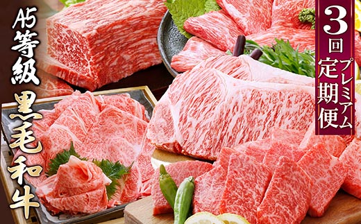 プレミアム　A5等級黒毛和牛定期便(3回配送) FF-0055【配送不可地域：離島】