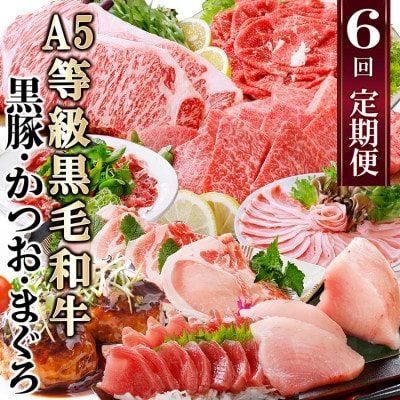 定期便(6回)A5等級黒毛和牛・黒豚・かつお・まぐろ FF-0058【配送不可地域：離島】