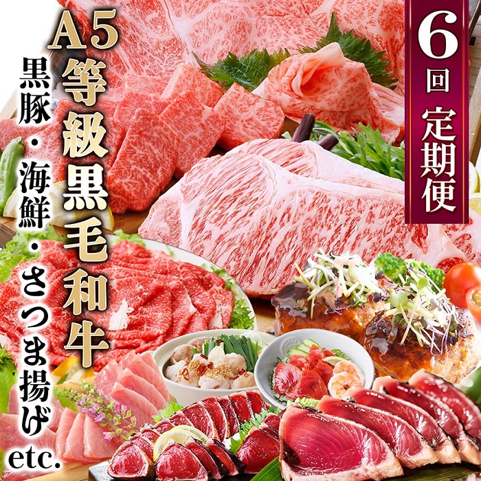 定期便(6回)お楽しみ便(A5等級黒毛和牛・黒豚・海鮮・さつま揚げ等)GG-0052【配送不可地域：離島】