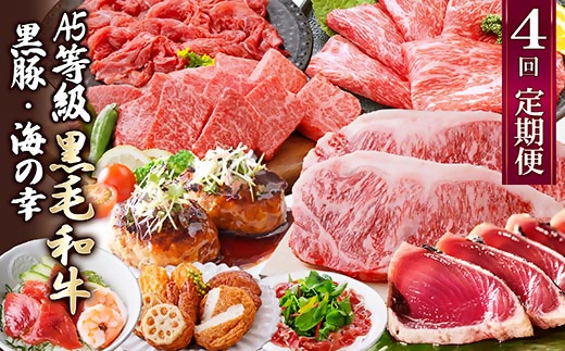 定期便(4回配送)黒毛和牛＆黒豚・かつお・さつまあげ NN-0040【配送不可地域：離島】