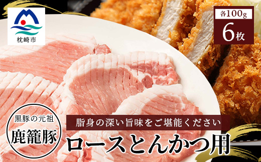 鹿籠豚ロース【100×6枚】枕崎産黒豚使用 A6-8【配送不可地域：離島】