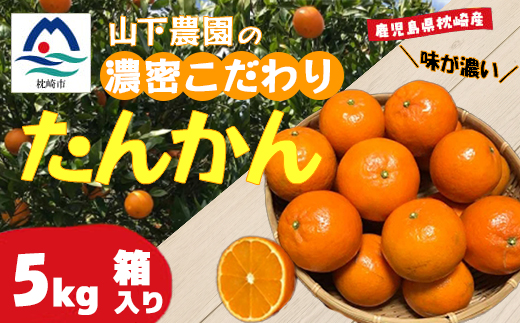【数量限定】鹿児島県枕崎産 山下農園のこだわりたんかんA8-104【配送不可地域：離島】