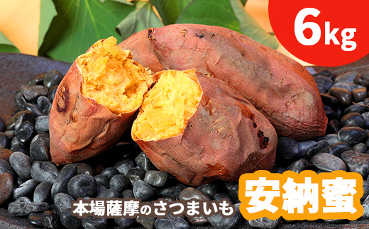 本場鹿児島さつまいも 【安納蜜】6kg　2025年10月より発送A3-55【配送不可地域：離島】