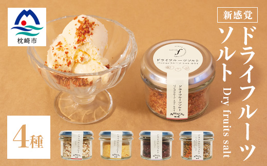 ドライフルーツソルト4種 A8-51【配送不可地域：離島】