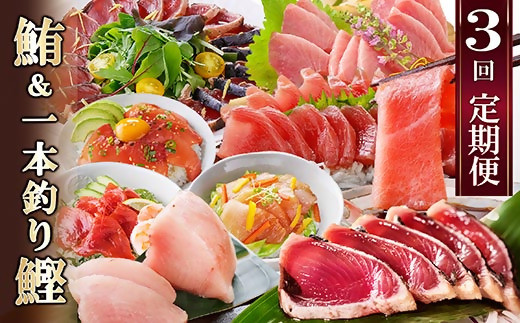 定期便(3ケ月)枕崎ふるさと納税　まぐろ＆一本釣りかつお LL-6001【配送不可地域：離島】