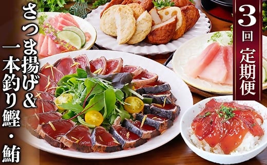 定期便(半年で3回)さつま揚げ＆鮮度抜群な一本釣りかつお・まぐろ LL-6007【配送不可地域：離島】