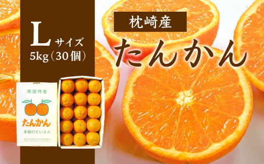 【Lサイズ】南国特産もぎたて たんかん 5kg【先行受付】2月下旬より順次発送 A8-121【配送不可地域：離島】