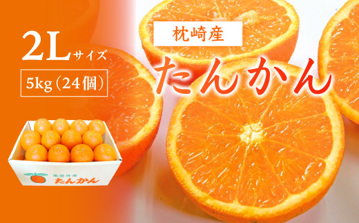 【2Lサイズ 】南国特産もぎたて たんかん 5kg【先行受付】2月下旬より順次発送 A8-122【配送不可地域：離島】