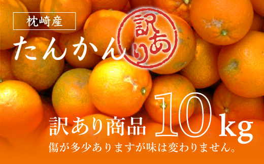 【訳あり】南国特産もぎたてフルーツ たんかん10kg【先行受付】2月下旬より順次発送 B2-14【配送不可地域：離島】