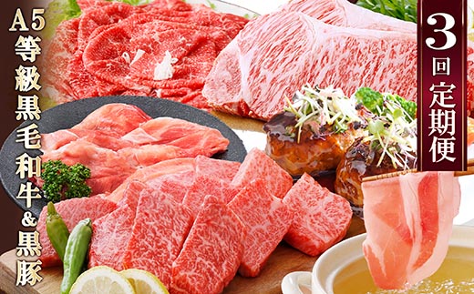 定期便(3回配送)鹿児島産A5等級黒毛和牛＆黒豚 EE-6014【配送不可地域：離島】