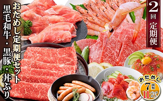 定期便2回配送　鹿児島県産黒毛和牛・黒豚・漬丼　お試し定期便セット DD-6007【配送不可地域：離島】