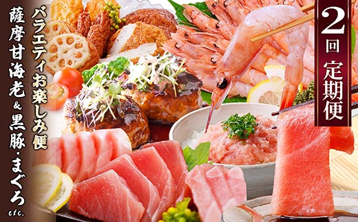 定期便2回配送　お楽しみバラエティ定期便(鹿児島県産黒豚・鮪etc) DD-6008【配送不可地域：離島】