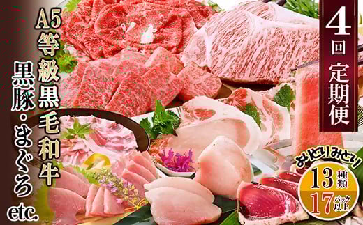 定期便4回配送　A5等級黒毛和牛・黒豚・まぐろetc FF-6002【配送不可地域：離島】