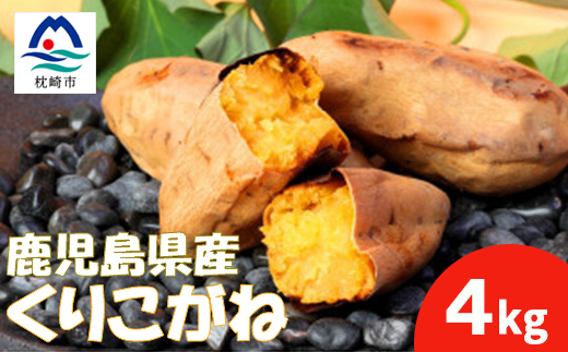 本場鹿児島さつまいも【くりこがね】4kg　2025年10月上旬より発送Z0-16【配送不可地域：離島】