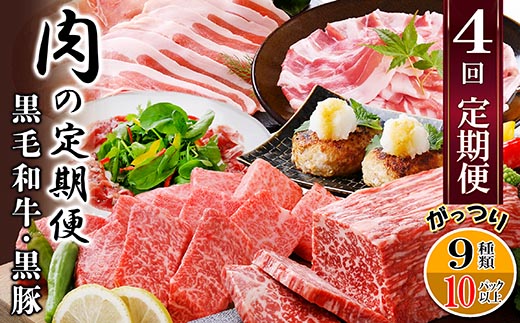 定期便4回配送　肉の定期便 EE-6016【配送不可地域：離島】