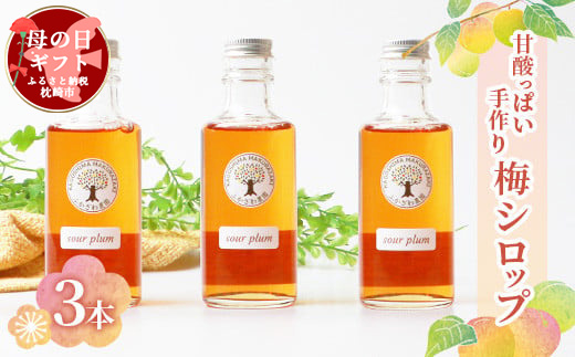 【母の日】ふかざわ農園の梅シロップ 手づくり シロップ ジュース 希釈用 A3-27M【配送不可地域：離島】