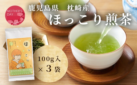 【母の日】ほっこり煎茶 100g×3袋 A5-1M【配送不可地域：離島】