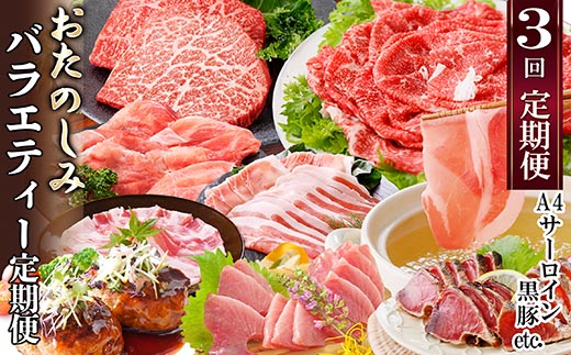 定期便(3回配送)　お楽しみバラエティー定期便 LL-6017【配送不可地域：離島】