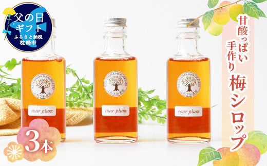 【父の日】ふかざわ農園の梅シロップ 手づくり シロップ ジュース 希釈用 A3-27F【配送不可地域：離島】