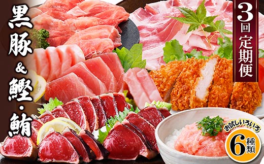 定期便3回配送　黒豚＆かつお・まぐろ　QQ-0001【配送不可地域：離島】