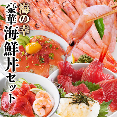 ZIP!で紹介!海鮮丼セット 4種 天然タカエビ (薩摩 甘エビ )鰹・鮪丼  刺身で  A0-33【配送不可地域：離島】
