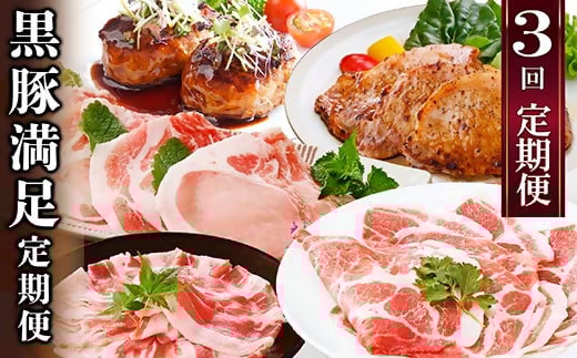 定期便3回配送　黒豚満足　定期便　QQ-0004【配送不可地域：離島】