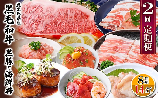 定期便2回配送　鹿児島県産黒毛和牛・黒豚　CC0-0001【配送不可地域：離島】