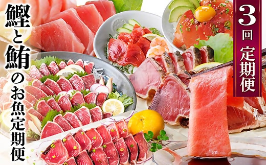 定期便3回配送　鰹とまぐろのお魚定期便　QQ-0005【配送不可地域：離島】