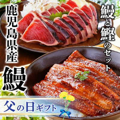【父の日】枕崎産かつお節香る　鰻と鰹セットA6-137F【配送不可地域：離島】