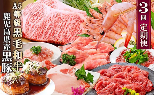 定期便3回配送　黒毛和牛・黒豚＆タカエビ　 DD5-0001【配送不可地域：離島】