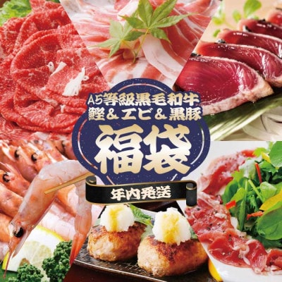 【年内発送】福袋 A5ランク黒毛和牛・タカエビ(薩摩甘エビ)・黒豚・カツオ 贅沢詰合わせ B8-24【配送不可地域：離島】