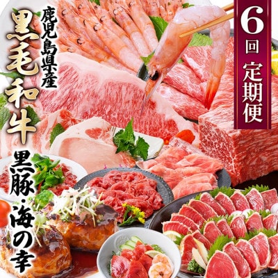 定期便(6回配送)　鹿児島県産黒毛和牛・黒豚・海の幸　HH5-0001【配送不可地域：離島】