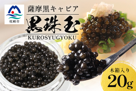 【数量限定】薩摩黒キャビア黒珠玉 鹿児島水産高校 枕崎キャビア【木箱入り】【20g×1箱】 C3-2【配送不可地域：離島】