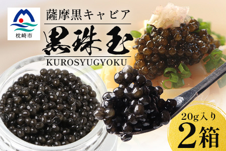 【数量限定】薩摩黒キャビア黒珠玉 鹿児島水産高校 枕崎キャビア【木箱入り】【20g×2箱】 F5-3【配送不可地域：離島】