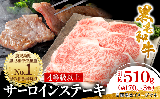 【鹿児島県産】黒毛和牛 サーロインステーキ 約510g (約170g×3枚)(枕崎市) B3-89【配送不可地域：離島】