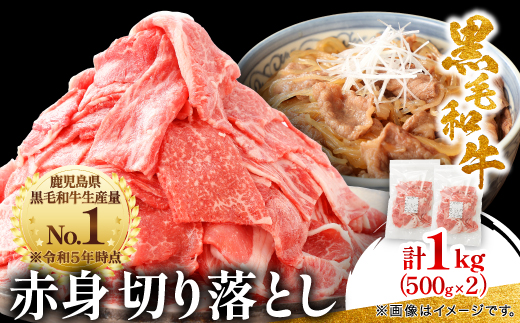 【鹿児島県産】黒毛和牛 赤身 切り落とし 1kg (500g×2)(枕崎市)  A8-111【配送不可地域：離島】