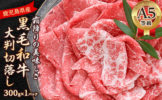 A5等級鹿児島県産黒毛和牛大判切落し(枕崎市) A0-78【配送不可地域：離島】